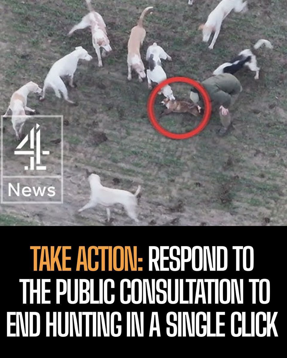 Protect the Wild tweet media