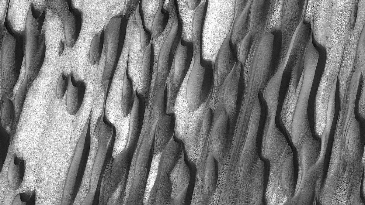 HiRISE's tweet image. HiRISE 8K: Dunes in Abalos Undae

It is possible that the dunes are no longer migrating and that the tiny ripples on them are the only active parts of the dunes today.

Full cutout on Flickr: flic.kr/p/2s7HBQR
NASA/JPL-Caltech/University of Arizona
#Mars #NASA #science