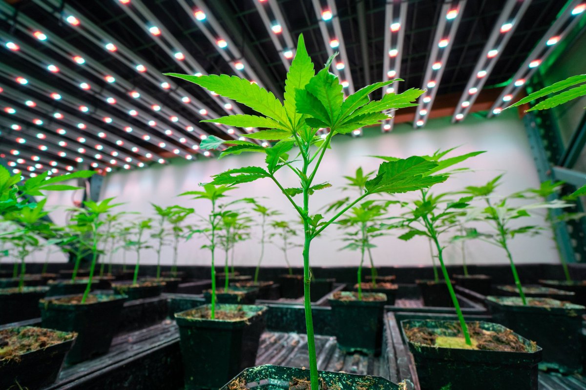 opto22's tweet image. Reclaim control with open-source automation - New case study shows how to overcome the limitations of closed, vendor-specific control systems: op22.co/4mEvzyw #casestudy #opensource #industrialautomation