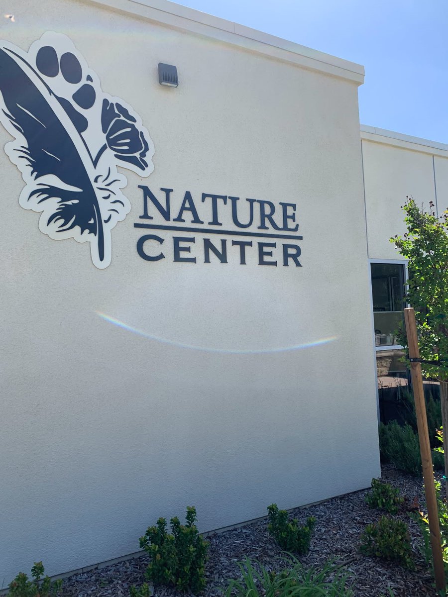 CHP Officer was called for an owl near the road on I-5. He was able to rescue the Gray horned owl and transport for care to the Nature Center, the Fresno Wildlife Rehabilitation Service (FWRS) is an organization dedicated to caring for orphaned and/or injured native wildlife.