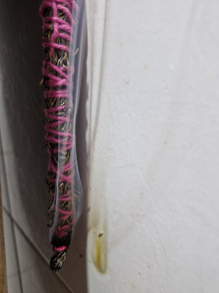 Circe⁷ 🪷 | Mesa aberta! tweet media