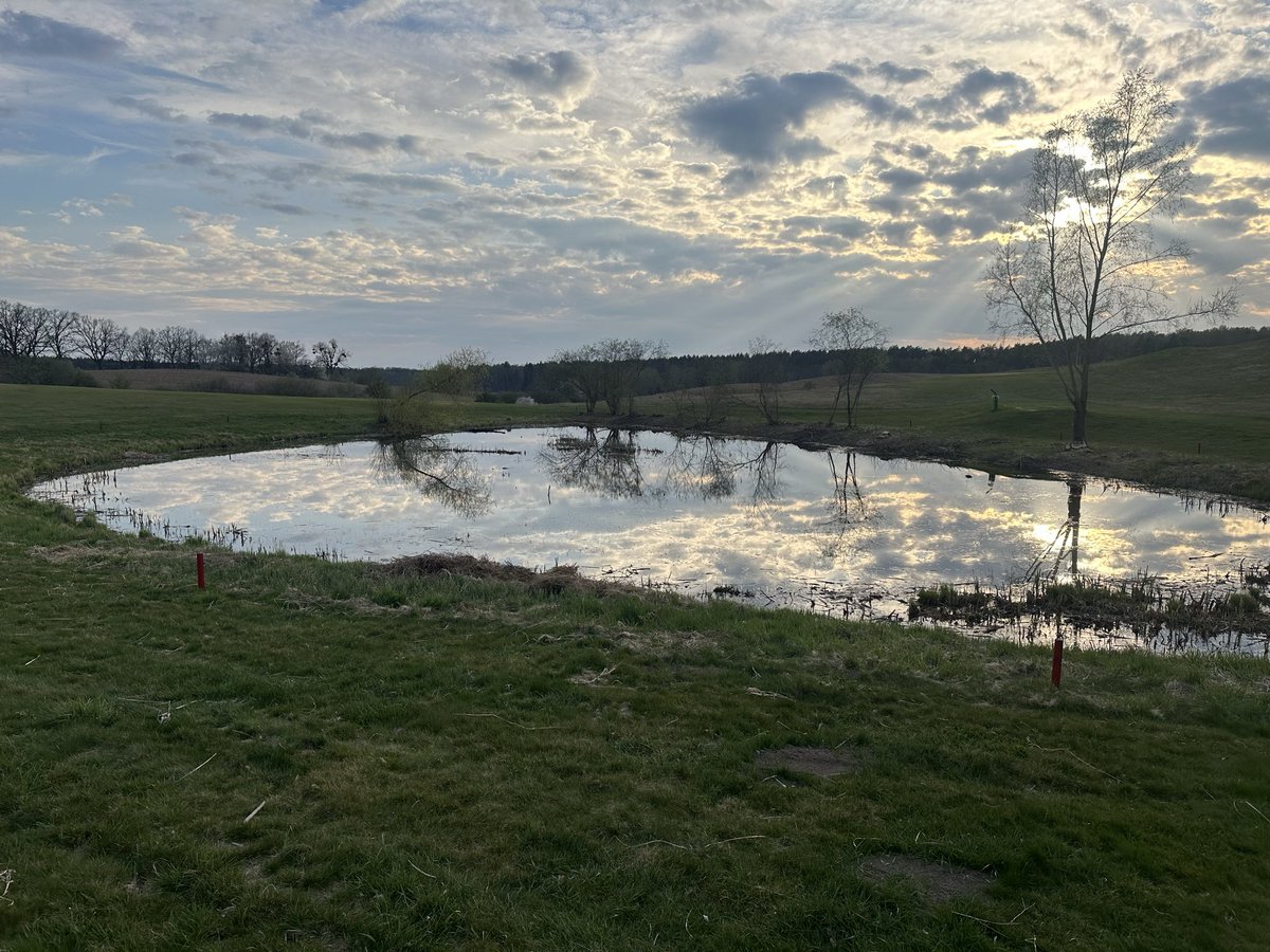 Sebastian Roszkowski tweet media