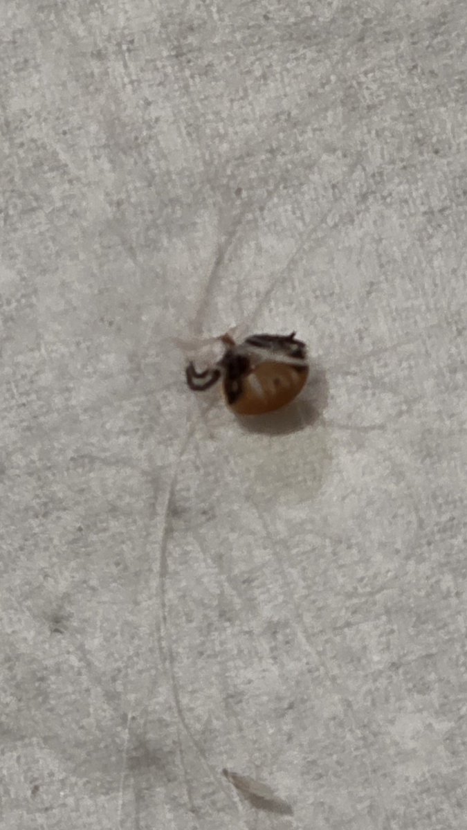 Sezon rozpoczęty z przytupem, to już chyba 5 i 6.
Psia mać!