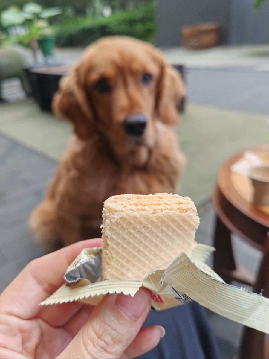 Kevin Malecha tweet media