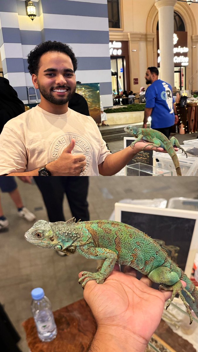 Mohammadz Ba tweet media