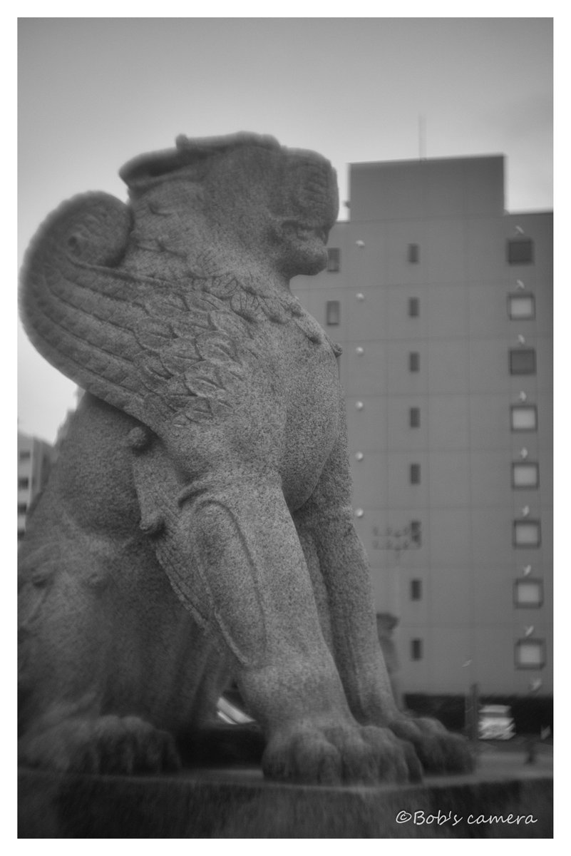 よボブ tweet media