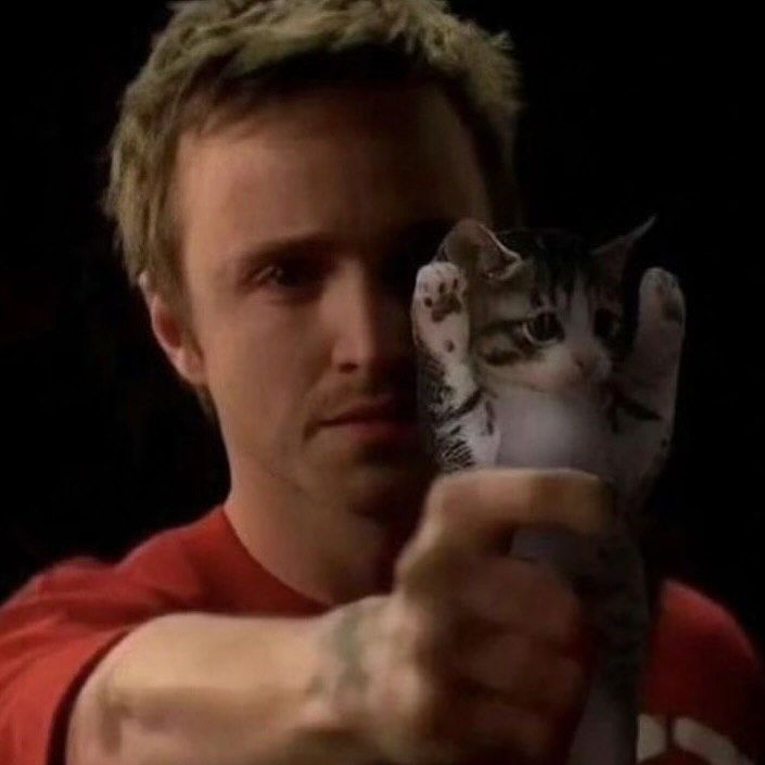 neural nets. tweet media