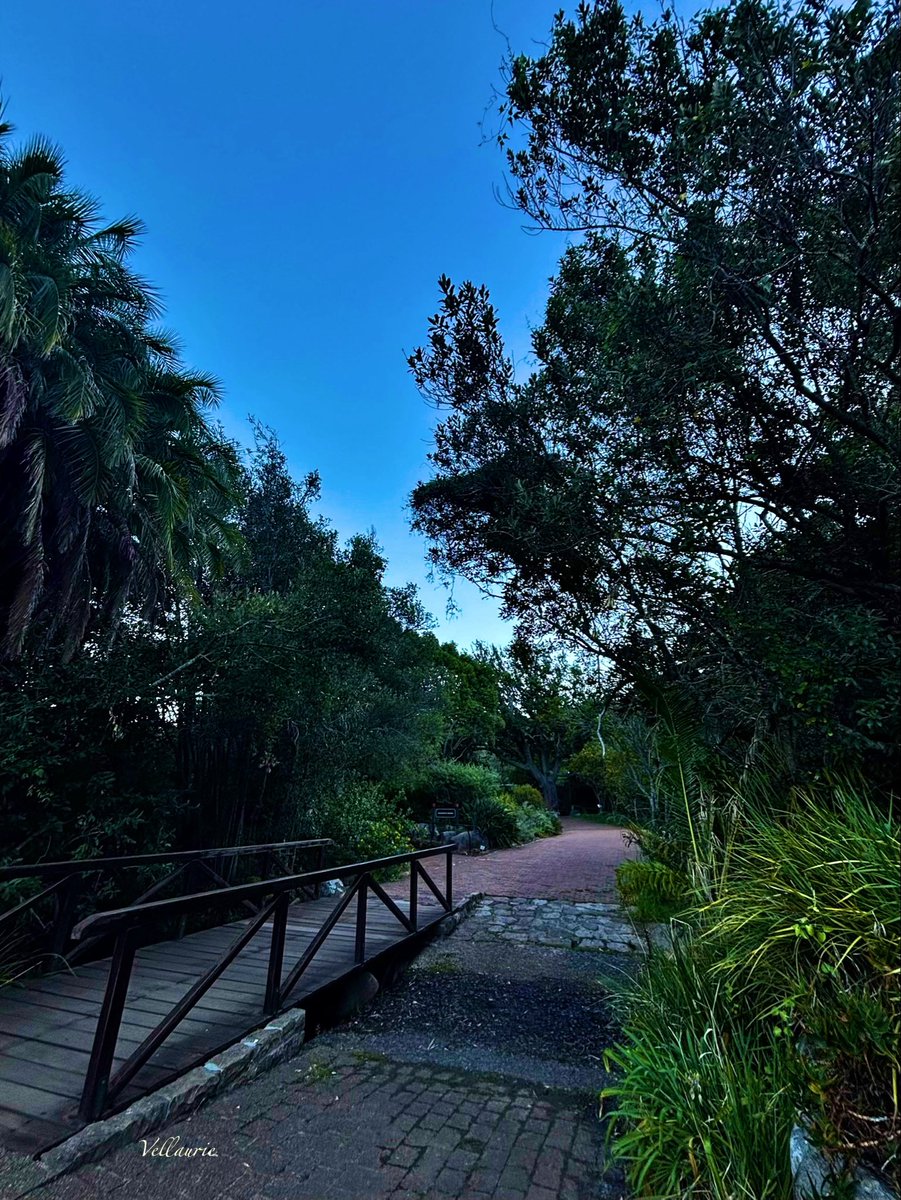 VijayEllaurie's tweet image. Thursday Trails…..
#Trail