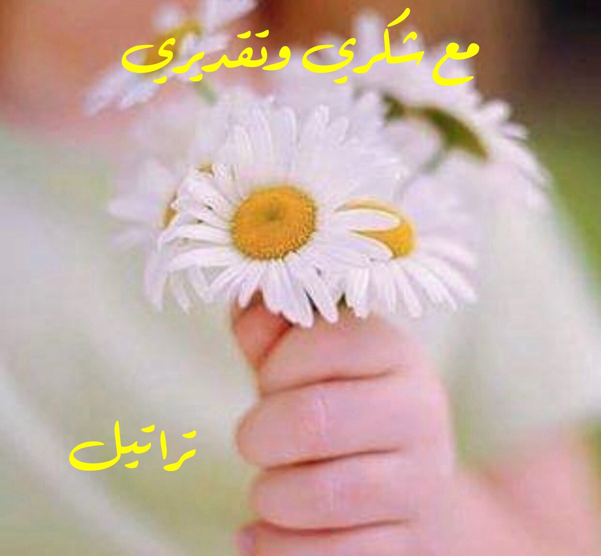 💚🍃´ 🎶•.🇸🇦تراتيل¸🍃💚🇸🇦🎶* tweet media