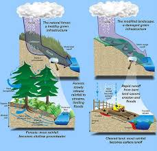 forestar247's tweet photo. Gestión Riesgo De Inundaciones. Mirada Ecosistémica  https://t.co/rjzp02VhRj @BautaRojas @cameliazul @GUZMAN2000MN  @laurayosiam @LuisTorres_RD @marcosbarinas @mateonova06 @MenoGerez @MaenaSoy @NancyKheiry  @Osirisdleon @PankyCorcino @RafaelGenao15 @radtke_md @RicardoRipoll https://t.co/3L452dxWQf