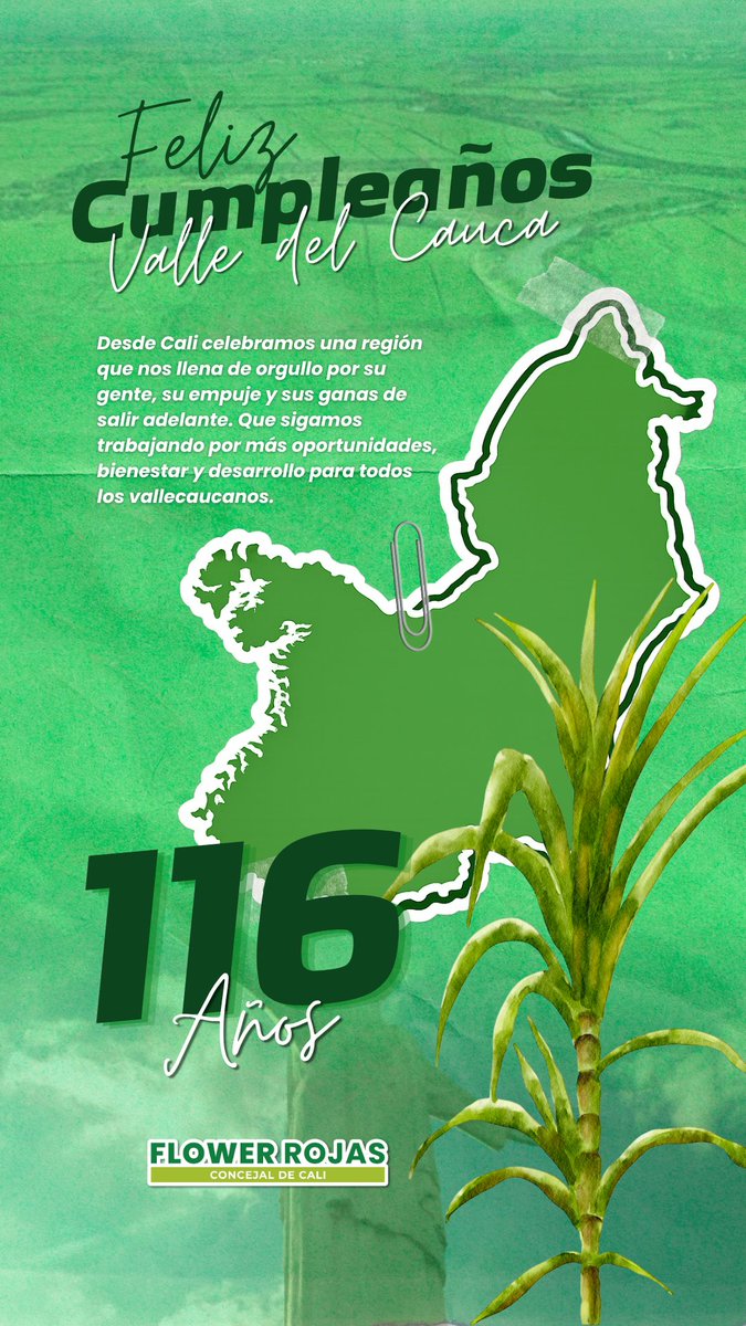 Flower Rojas 🌻🌳 tweet media