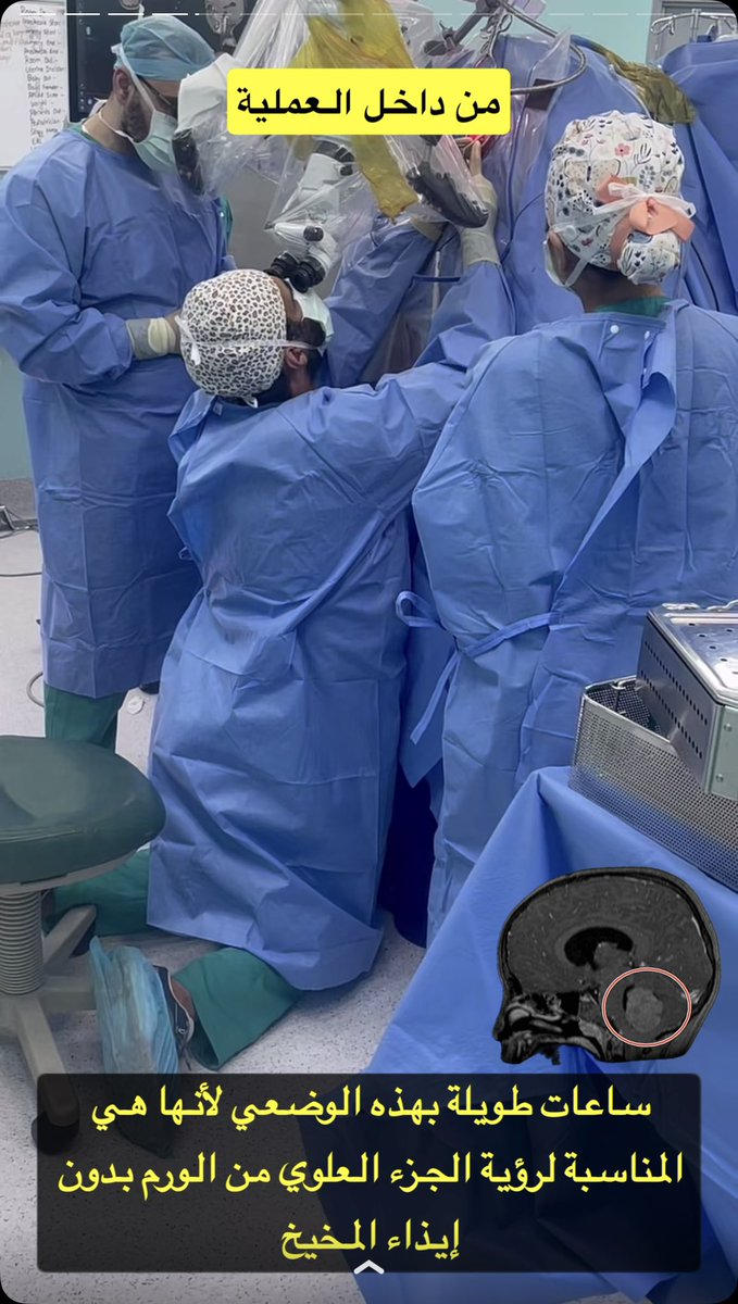 السُلطانة tweet media