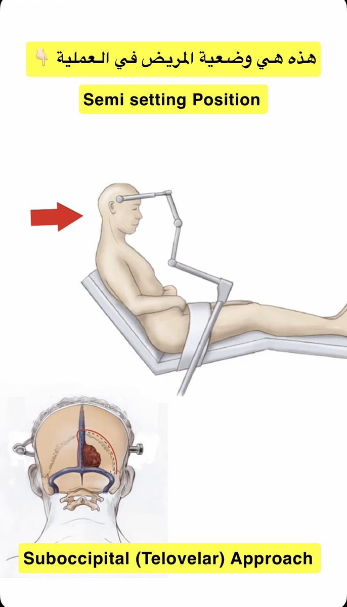 السُلطانة tweet media