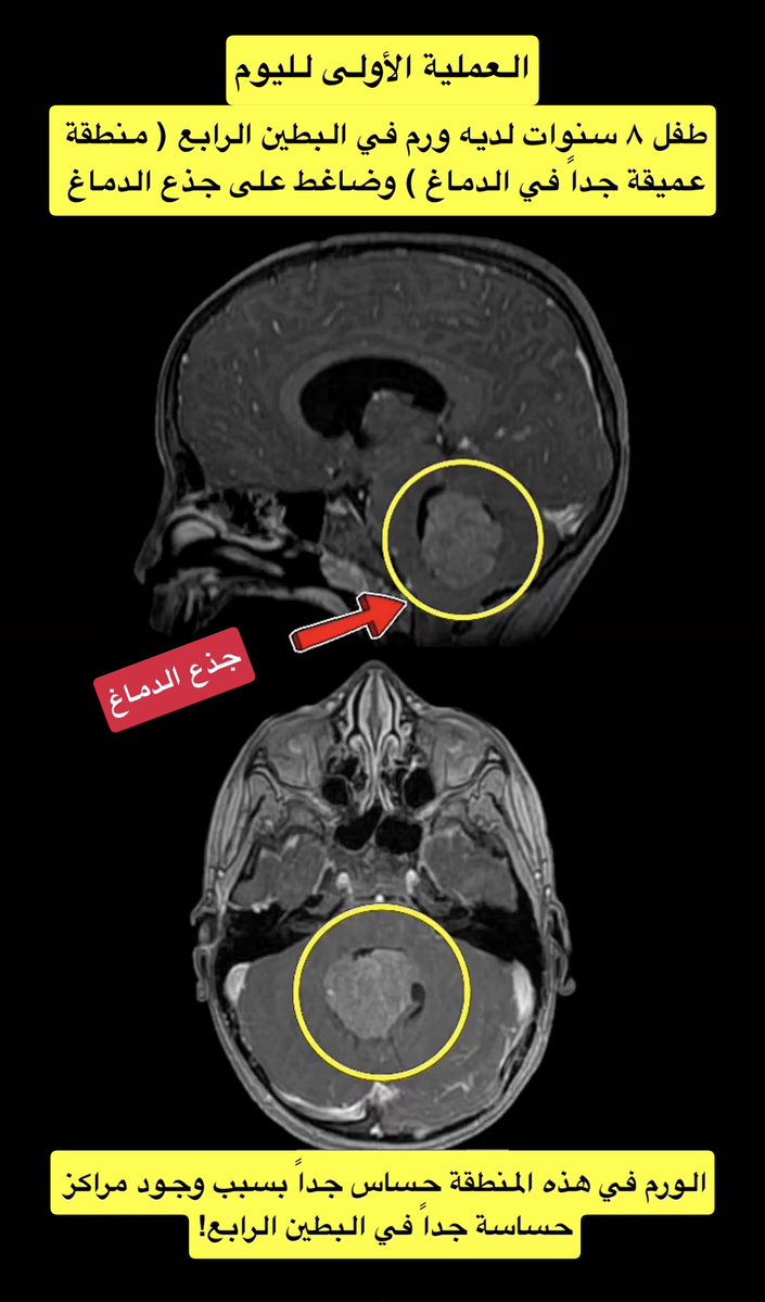 السُلطانة tweet media