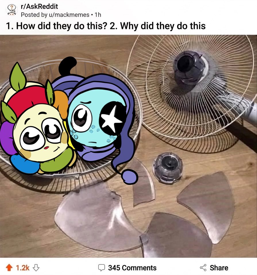 KADEN ☮️ tweet media