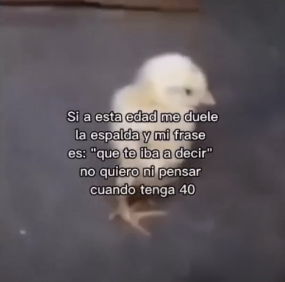 no me llamo vicenta (@kansaita_) on Twitter photo 