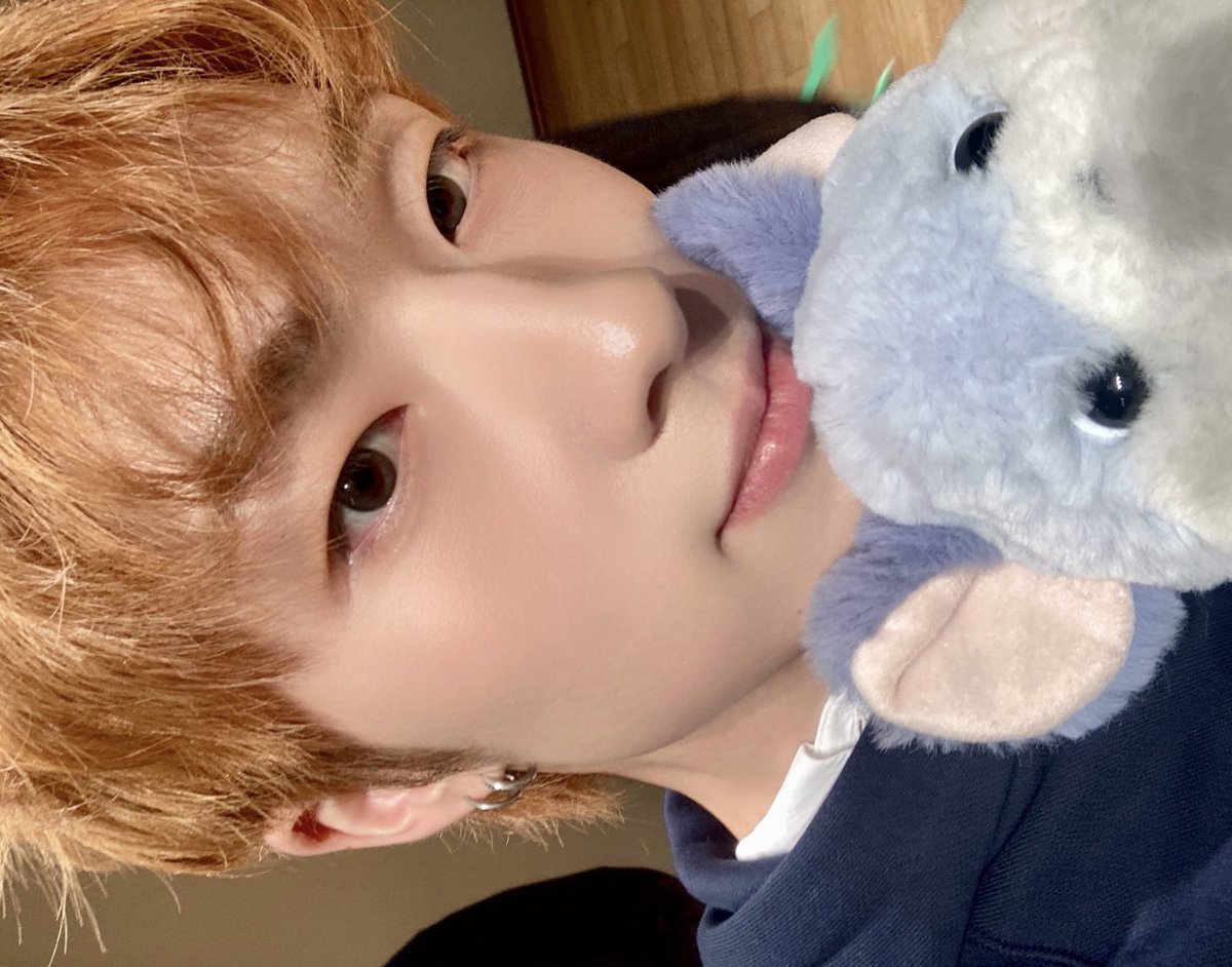 🐭ྀི tweet media