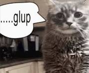 Hito⛓⛓ tweet media