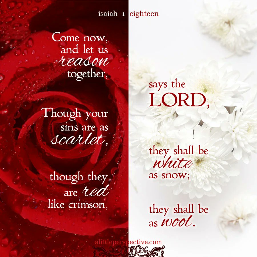 Denton Kollar tweet media