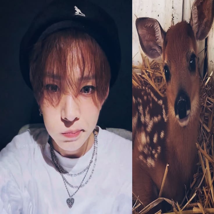 Сая⁷ tweet media