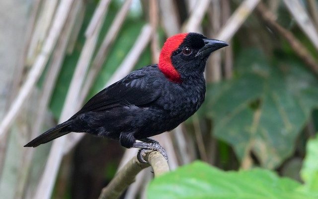 Dami Dami 🇳🇬🇬🇭 tweet media