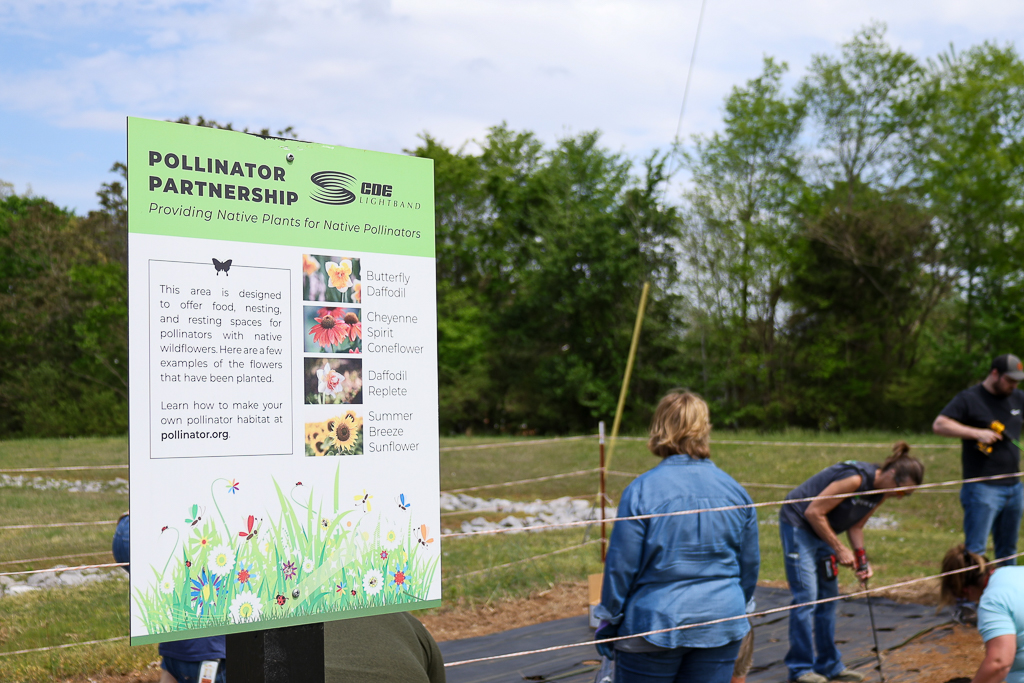 CDE Lightband tweet media