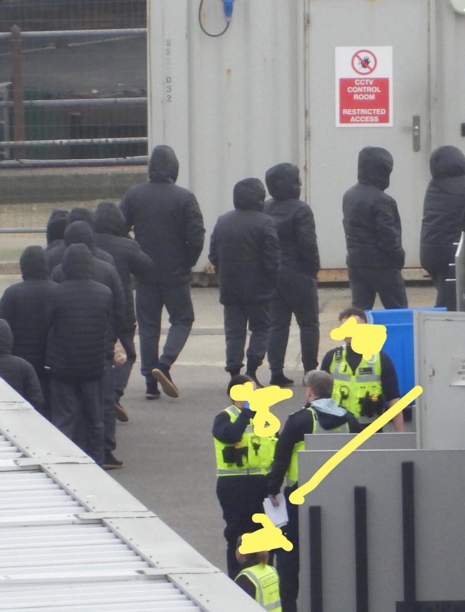 Nina Wysocka tweet media