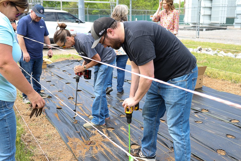 CDE Lightband tweet media