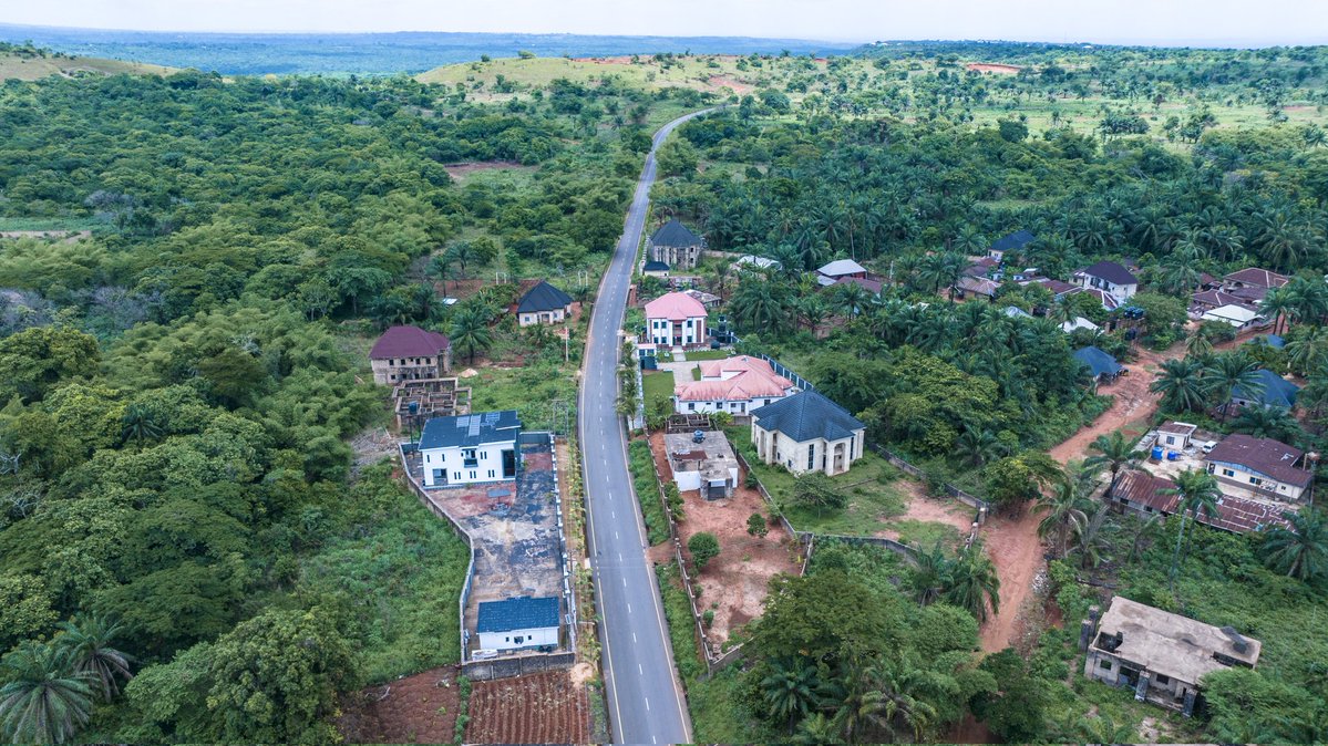 Dan Nwomeh tweet media