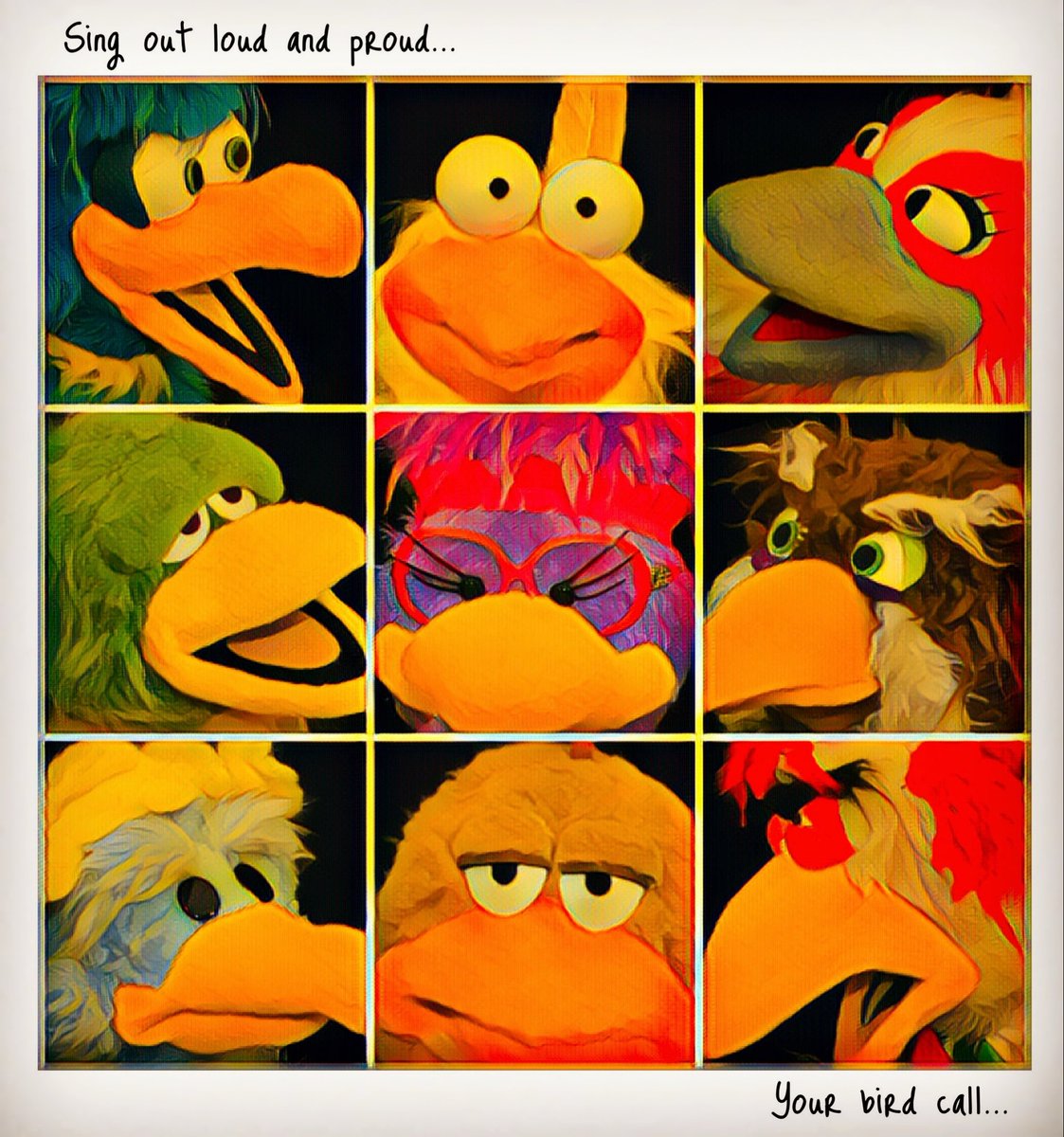 Bird Call tweet media