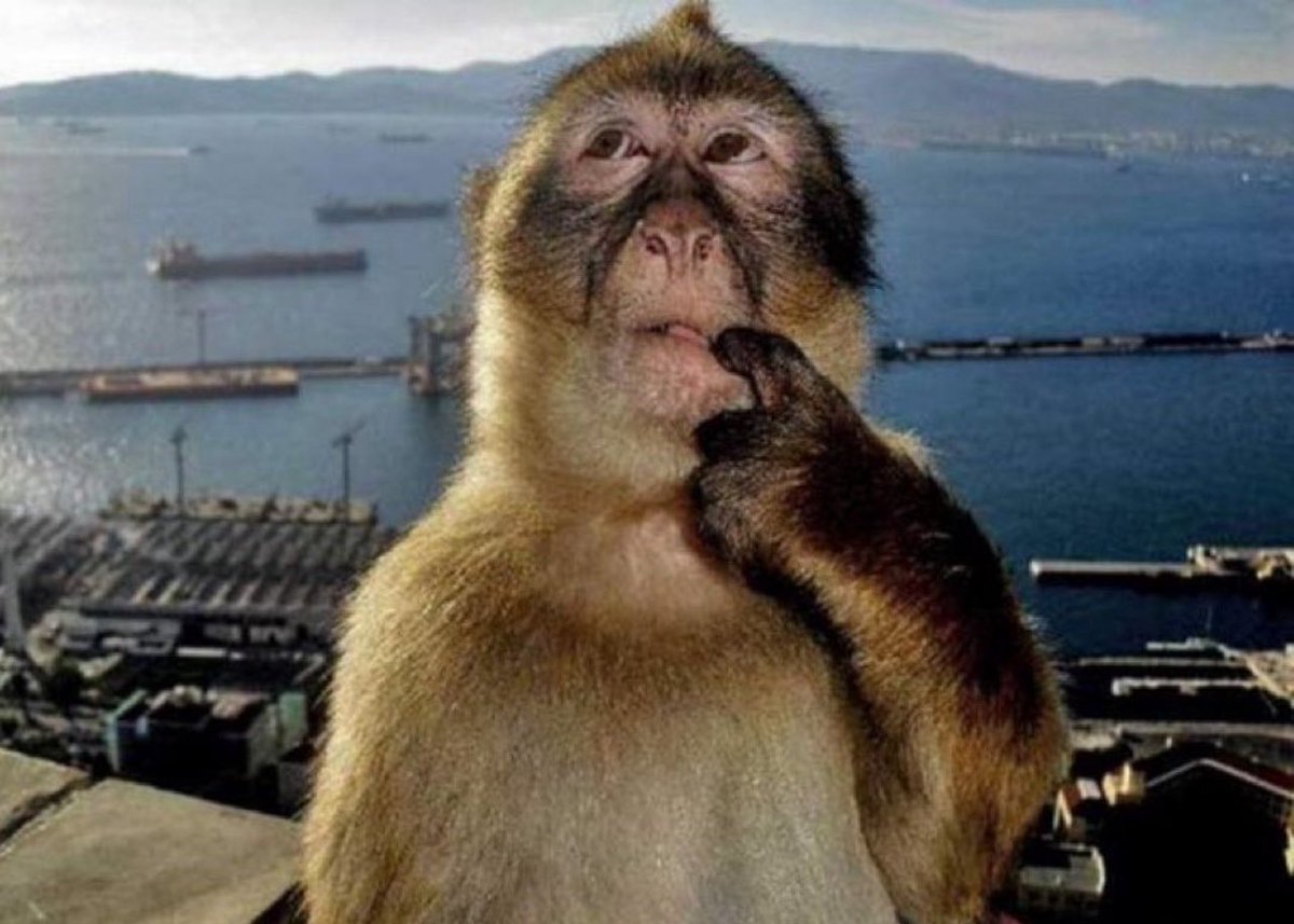 benimaru tweet media