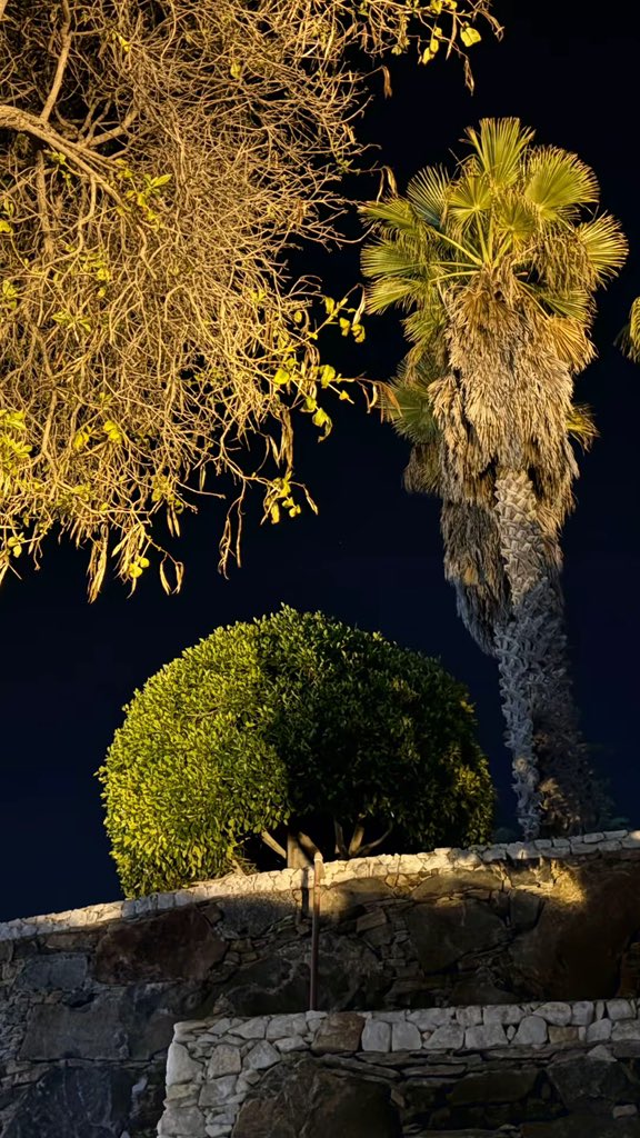 𓆩بوح الغيم𓆪 tweet media