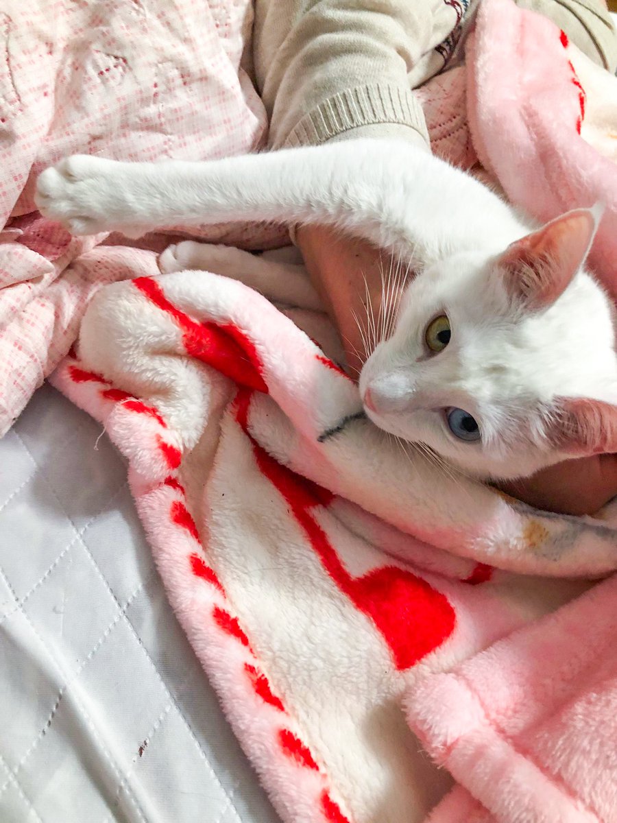 t ♭♪ 🎬📽🎞 tweet media