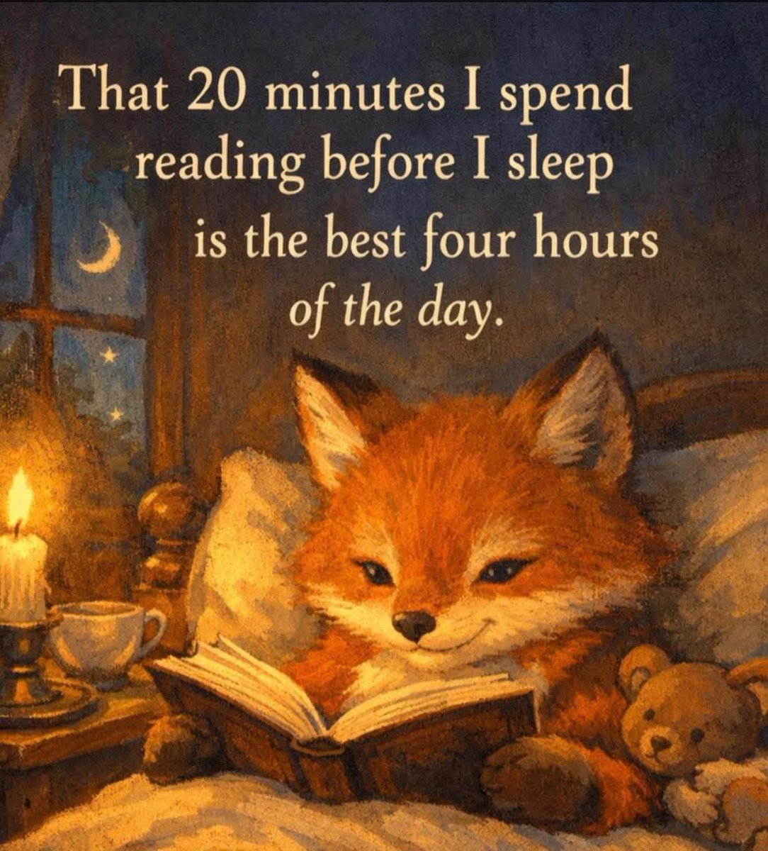 ScottyChester56's tweet image. #reading
#kindle
#booklover