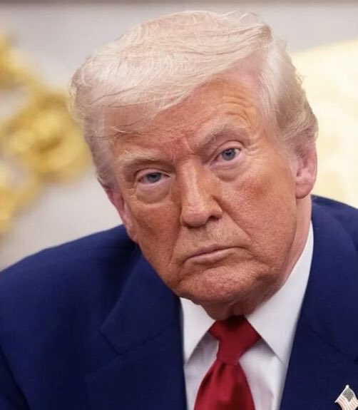 Wolf 🐺 tweet media