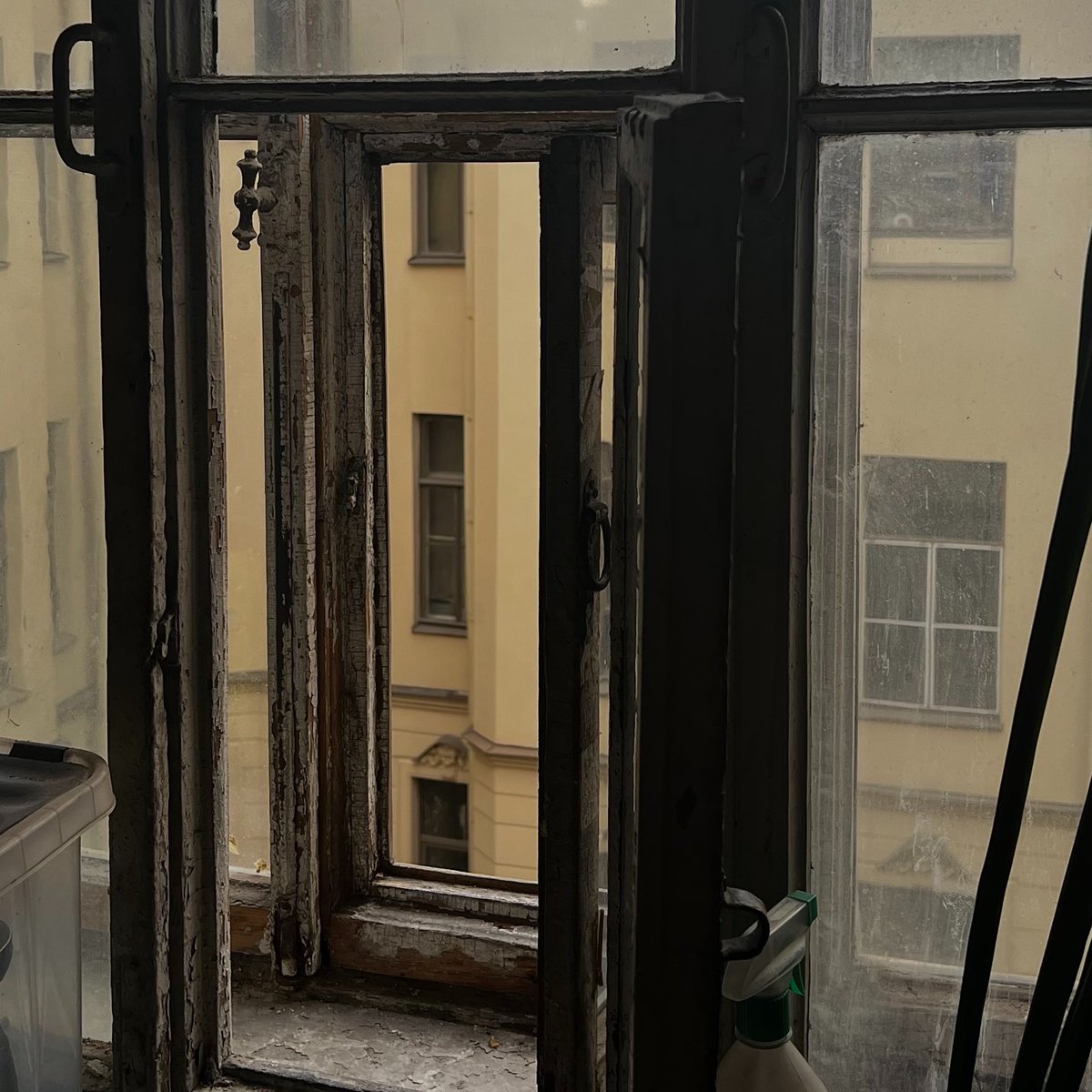 марлинская tweet media