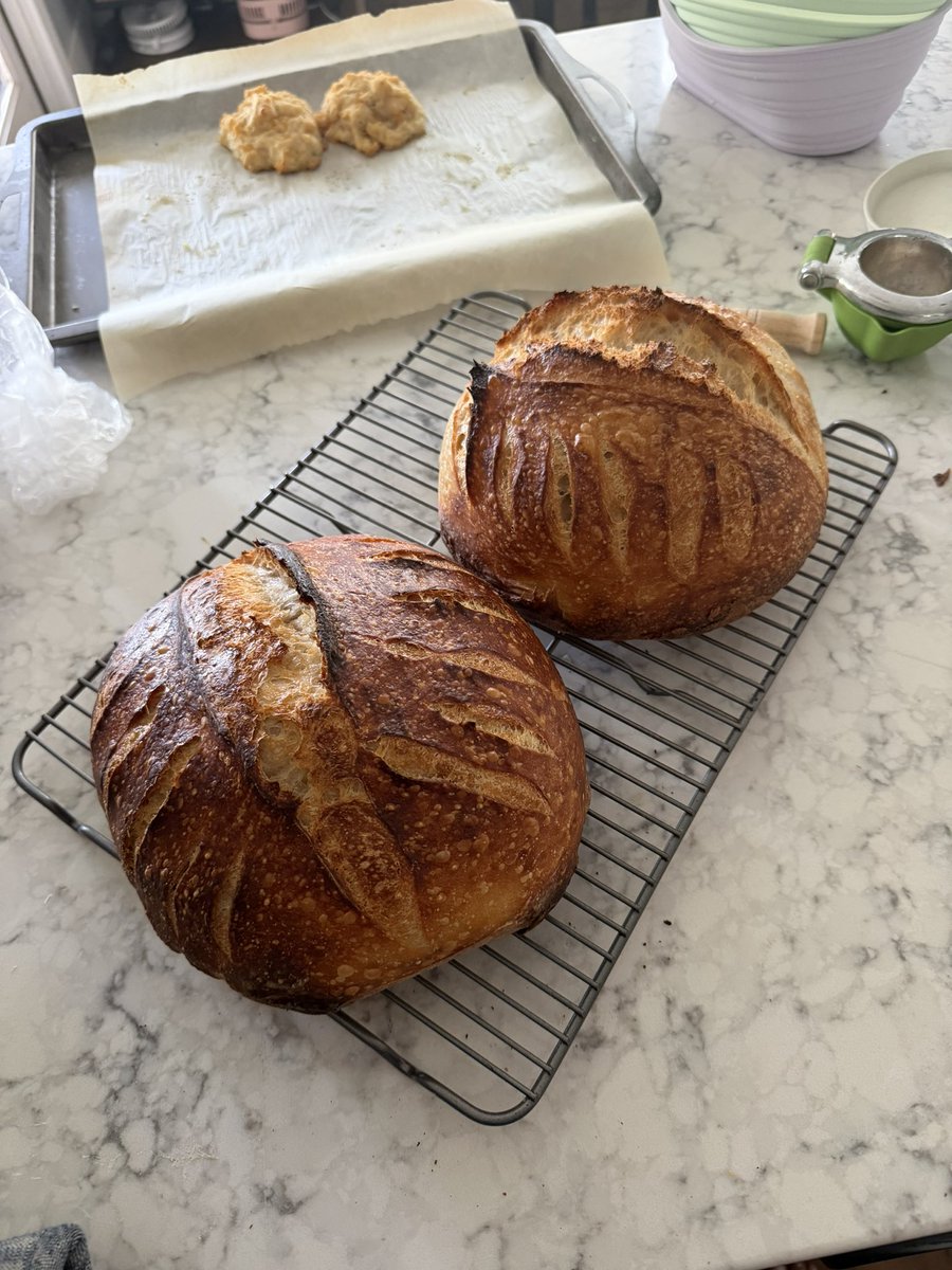 SpiritXO__'s tweet image. We are so back ✨

#sourdough