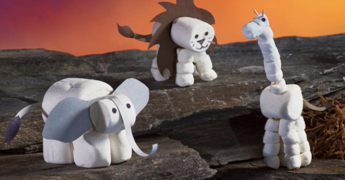 campfiremallows tweet picture