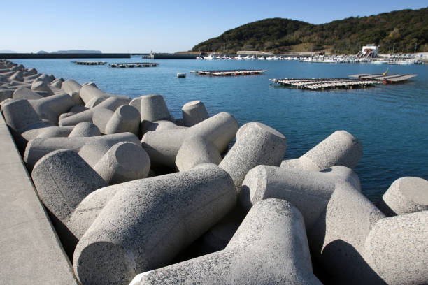 Lu Figarella tweet media