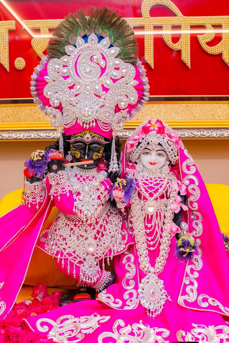 Devender Rathore tweet media