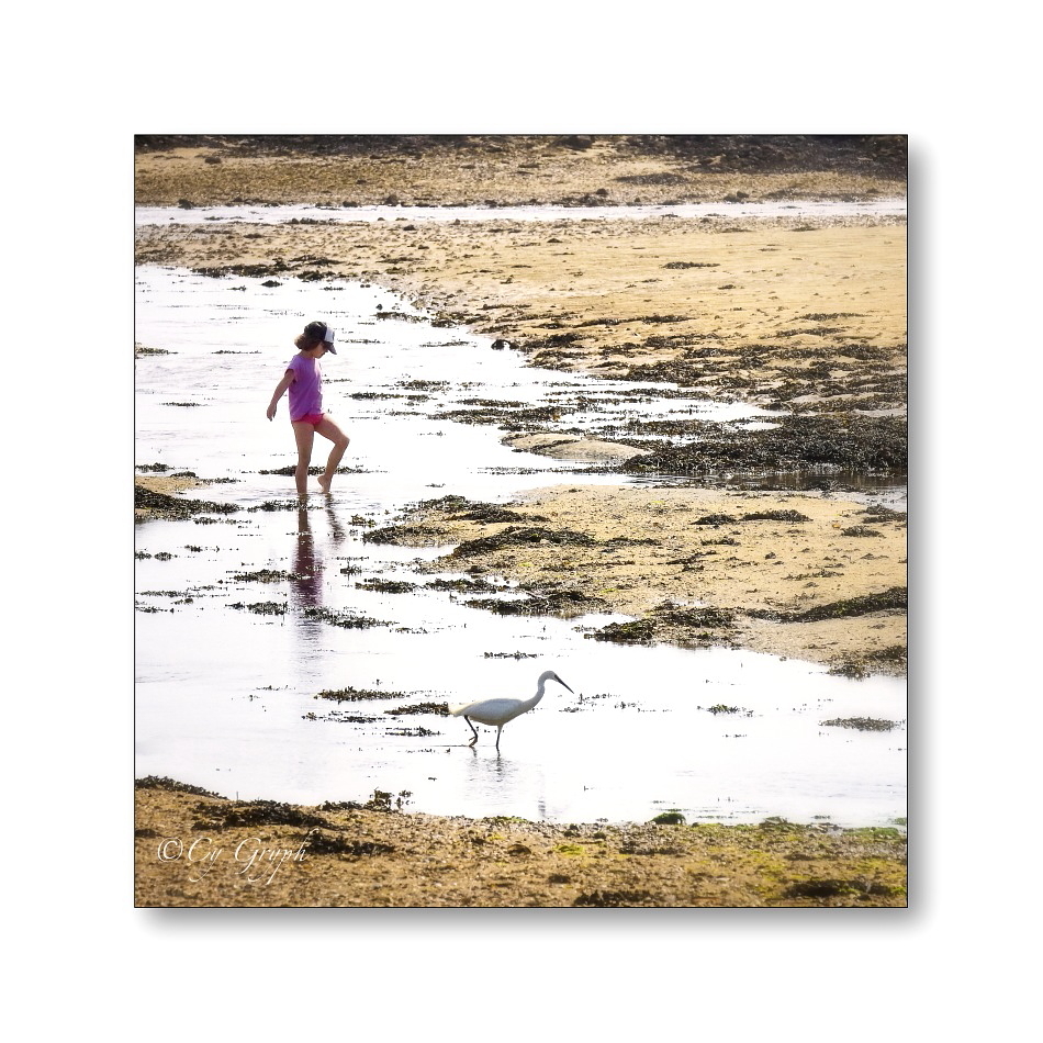 CGryph's tweet image. Bonsoir ! 😊

Démarches aquatiques 😉
La fillette et l'aigrette... 😁

#Bretagne #Morbihan #Photographie