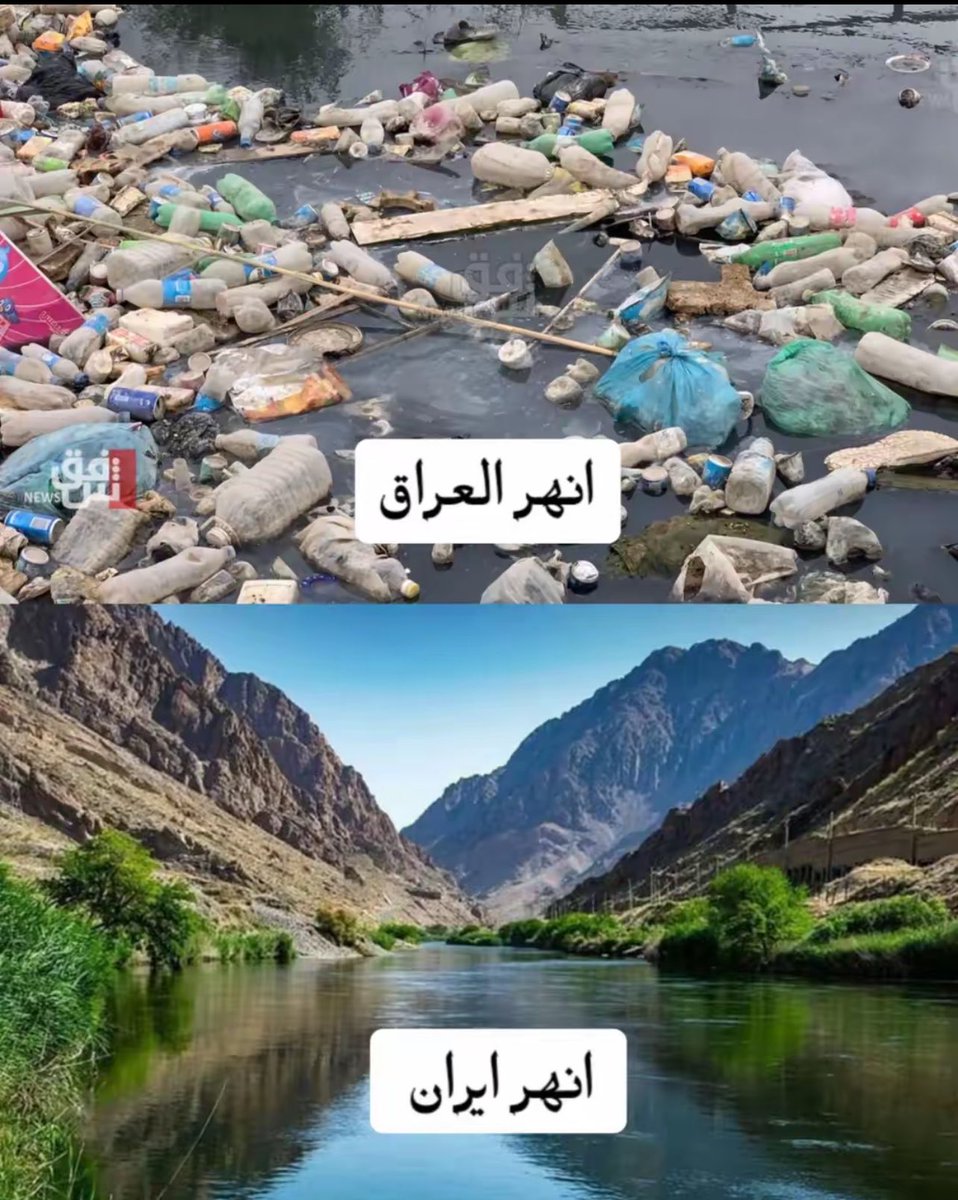 ماجد Majid tweet media