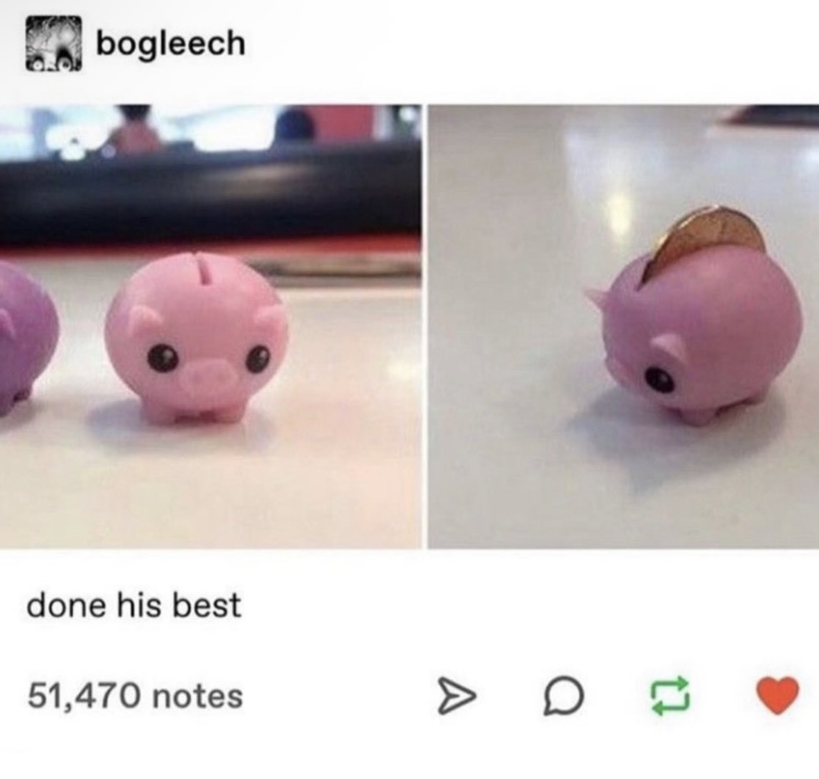 Respectful Memes tweet media