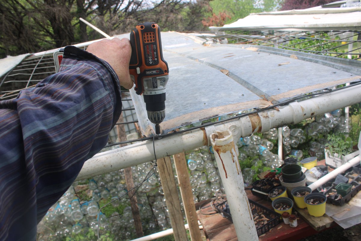 docsanderson's tweet image. #Scientists #Carpenter #RestorationProject #Wolves #Mates @NatGeo @HeartsofHeroes_ @Nature
@Ginger_Zee Lizzie Mags G after lunch i went to town got the couplings for repair the Big #GreenHouse got the borken fitting removed. just have to rebuild it now goregous day Mwah babes Lee