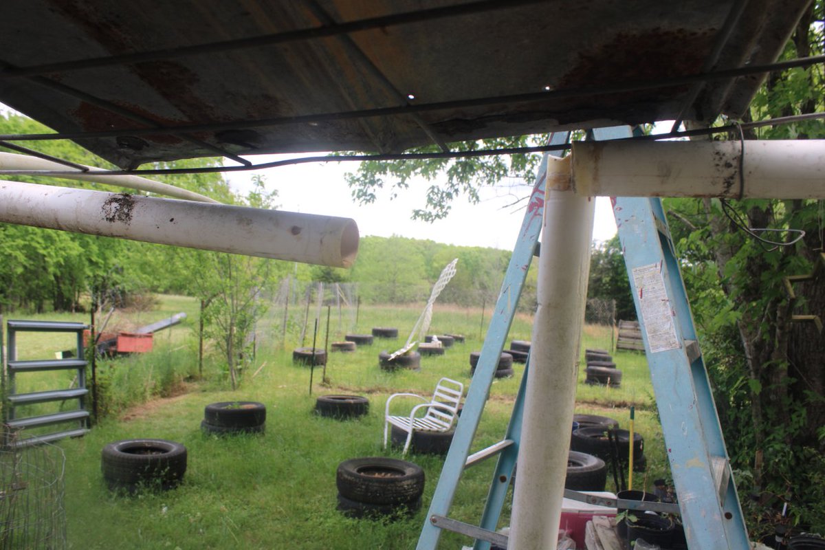 docsanderson's tweet image. #Scientists #Carpenter #RestorationProject #Wolves #Mates @NatGeo @HeartsofHeroes_ @Nature
@Ginger_Zee Lizzie Mags G after lunch i went to town got the couplings for repair the Big #GreenHouse got the borken fitting removed. just have to rebuild it now goregous day Mwah babes Lee