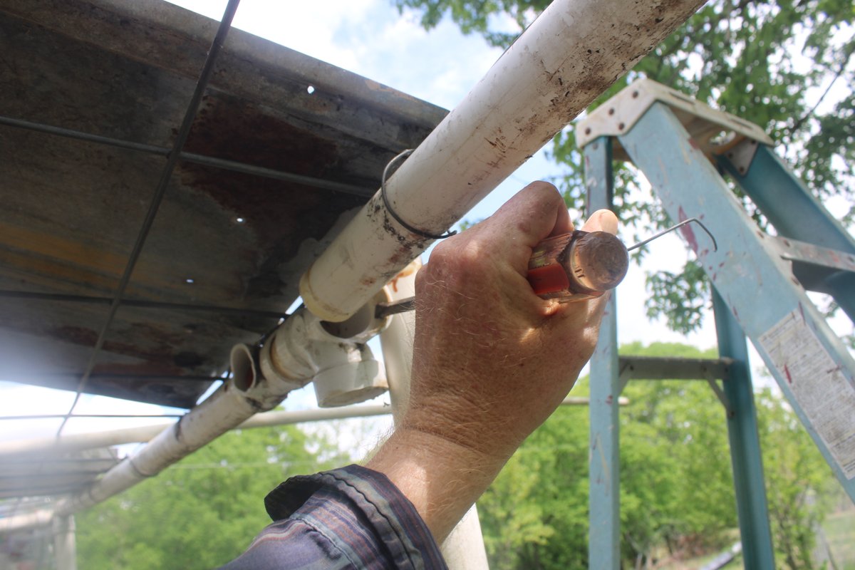 docsanderson's tweet image. #Scientists #Carpenter #RestorationProject #Wolves #Mates @NatGeo @HeartsofHeroes_ @Nature
@Ginger_Zee Lizzie Mags G after lunch i went to town got the couplings for repair the Big #GreenHouse got the borken fitting removed. just have to rebuild it now goregous day Mwah babes Lee