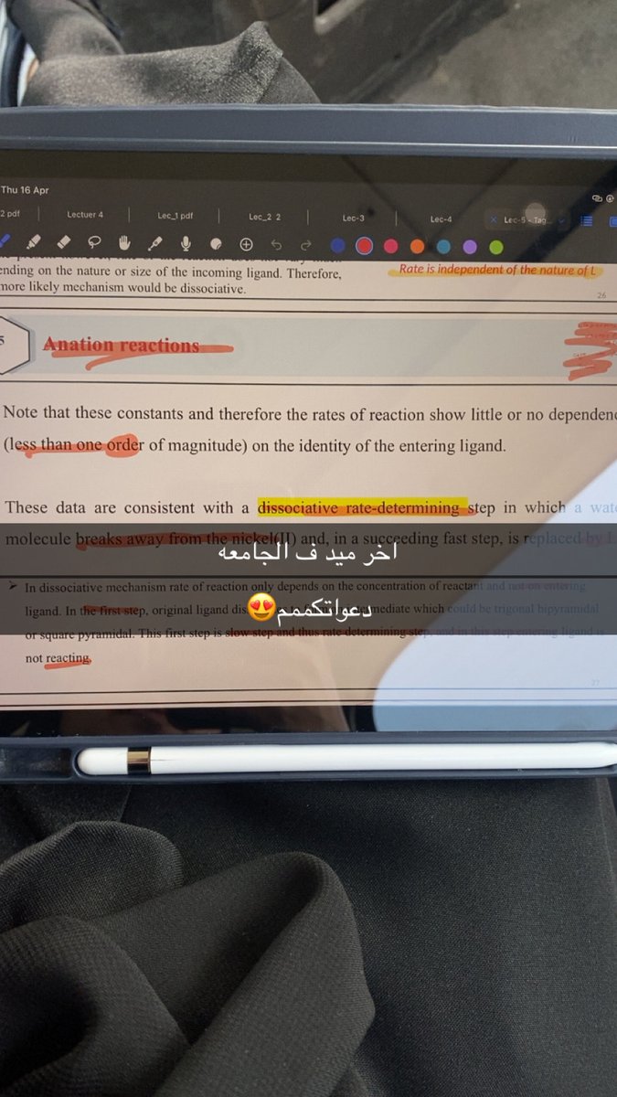 Safaa⏳🎓 tweet media