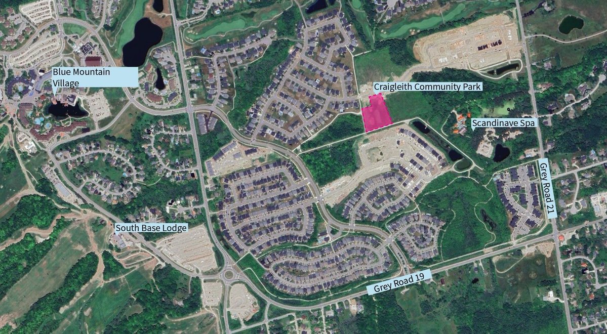 The Blue Mountains tweet media