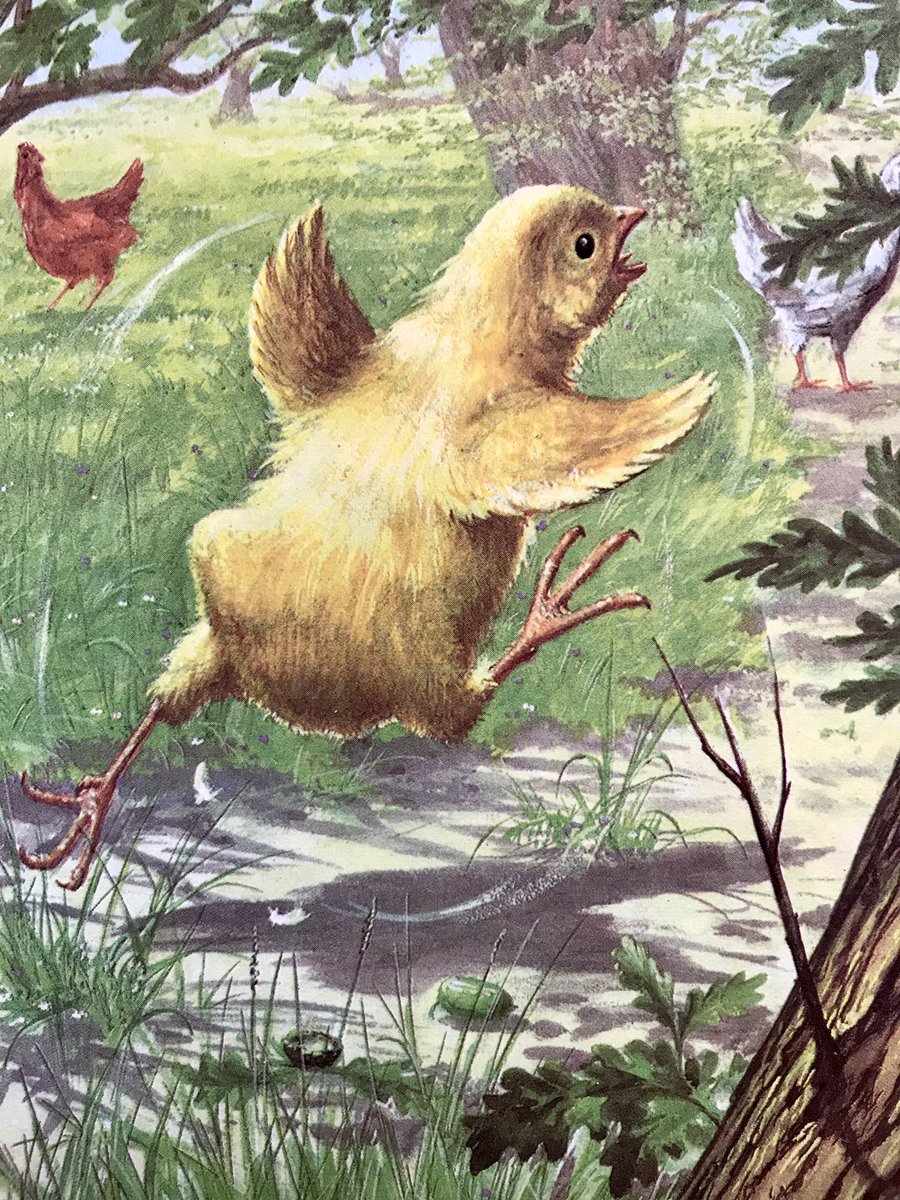 Helen Day tweet media