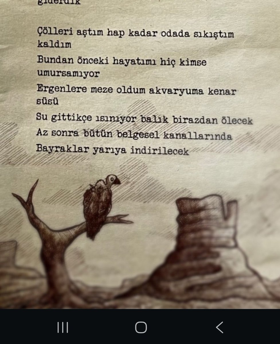 Ali Lidar⚡ tweet media